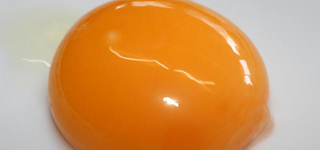 [水添レシチン]卵黄から作られた保湿成分です。
