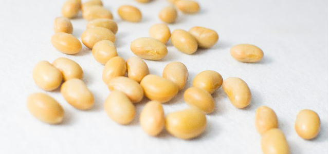 [カプリル酸グリセリル]大豆由来の抗菌、防腐効果のある界面活性剤